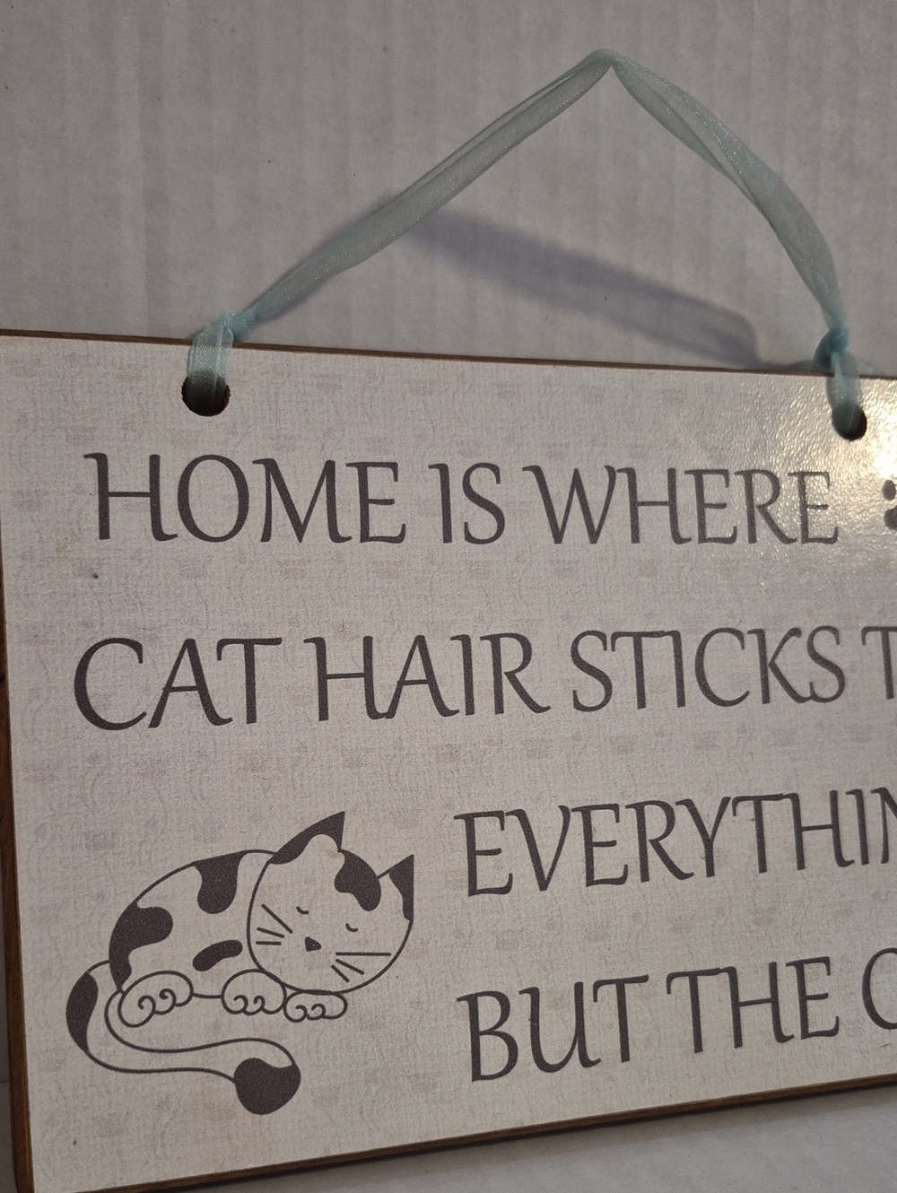 Source Unknown Cat Hair Quote Hanging Sign - Light Blue and Beige